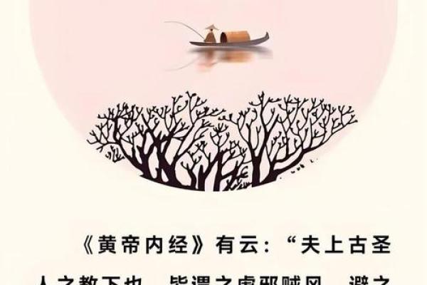 什么是贼命：揭秘背后的命运与人生哲学