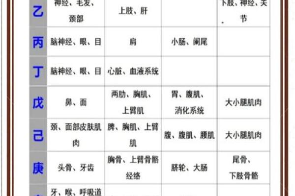 八字排盘宝：让你深入了解自己命理的工具