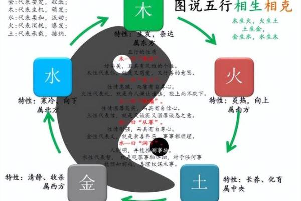 八字命理基础解析与入门知识指南