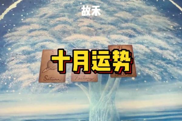 运势揭示：你的幸运数字与趋势