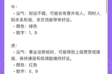 运势揭示：你的幸运数字与趋势