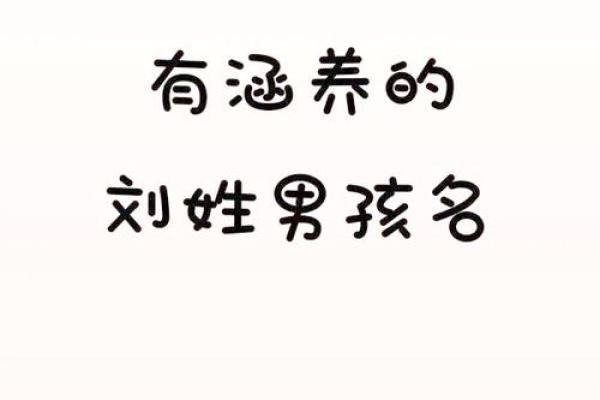 刘姓属鸡男孩起名指南，选择最适合的名字