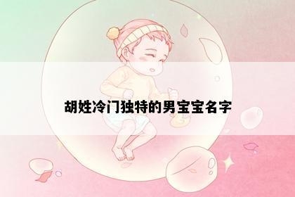 胡姓冷门独特的男宝宝名字