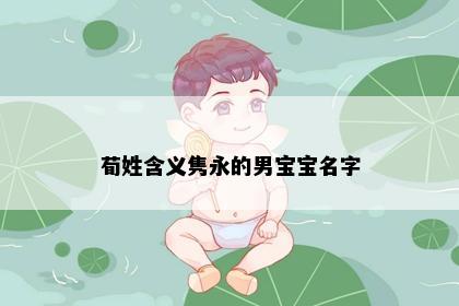 荀姓含义隽永的男宝宝名字