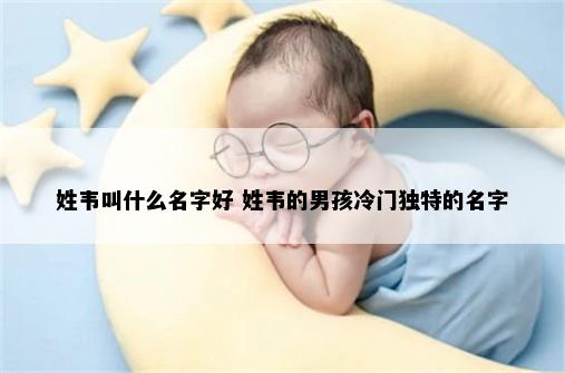 姓韦叫什么名字好 姓韦的男孩冷门独特的名字