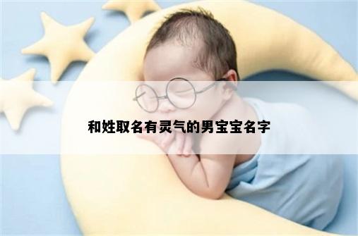 和姓取名有灵气的男宝宝名字