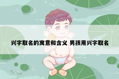 兴字取名的寓意和含义 男孩用兴字取名