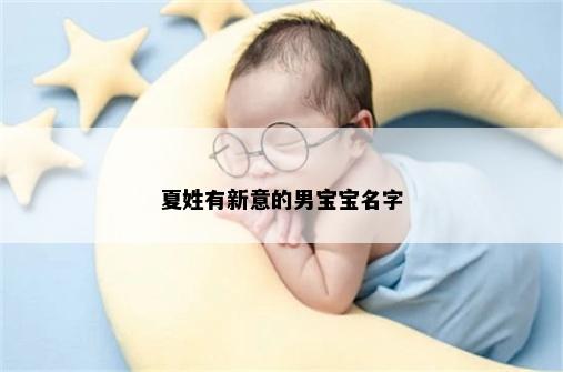 夏姓有新意的男宝宝名字