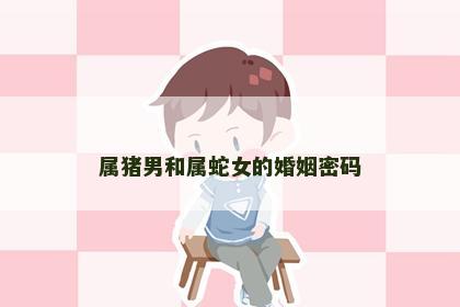 属猪男和属蛇女的婚姻密码