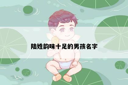 陆姓韵味十足的男孩名字