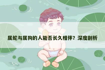 属蛇与属狗的人能否长久相伴？深度剖析