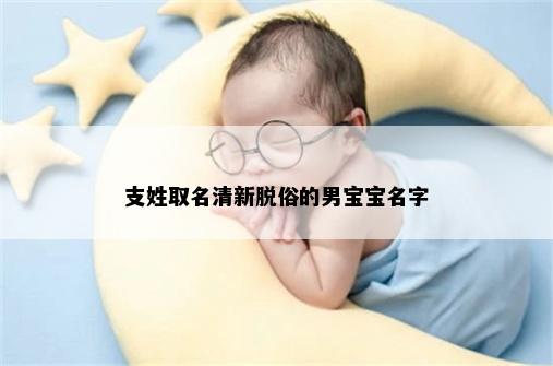 支姓取名清新脱俗的男宝宝名字