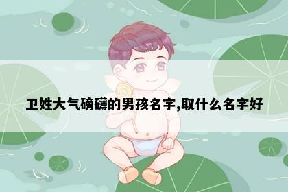 卫姓大气磅礴的男孩名字,取什么名字好