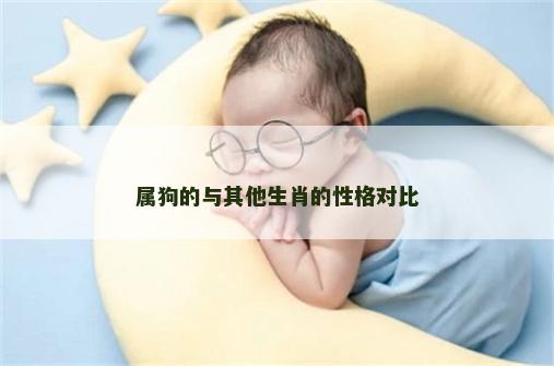 属狗的与其他生肖的性格对比