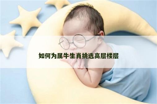 如何为属牛生肖挑选高层楼层