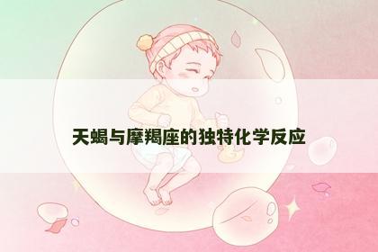 天蝎与摩羯座的独特化学反应