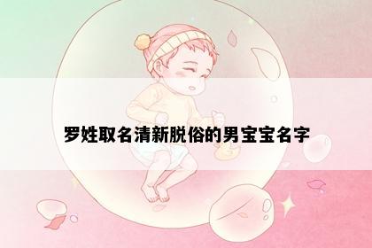 罗姓取名清新脱俗的男宝宝名字