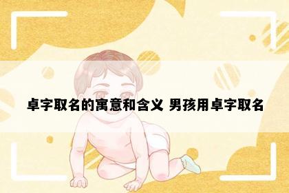 卓字取名的寓意和含义 男孩用卓字取名