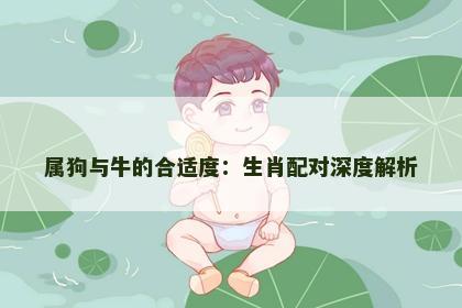 属狗与牛的合适度：生肖配对深度解析