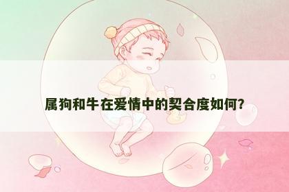 属狗和牛在爱情中的契合度如何？