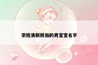 宗姓清新脱俗的男宝宝名字