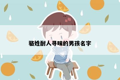 骆姓耐人寻味的男孩名字