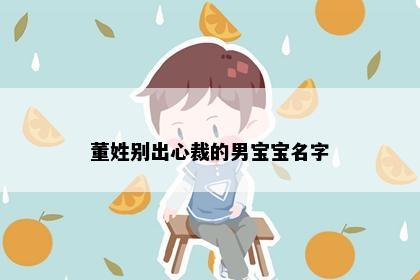 董姓别出心裁的男宝宝名字