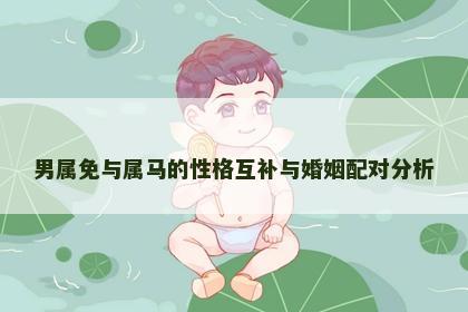 男属免与属马的性格互补与婚姻配对分析