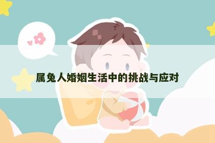 属兔人婚姻生活中的挑战与应对