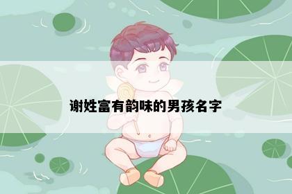 谢姓富有韵味的男孩名字