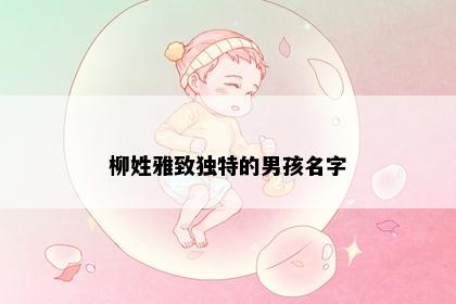 柳姓雅致独特的男孩名字