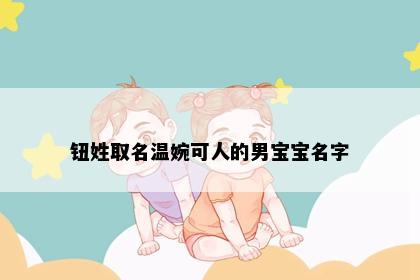 钮姓取名温婉可人的男宝宝名字