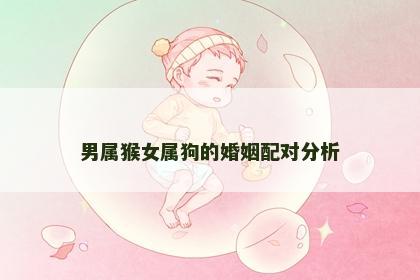 男属猴女属狗的婚姻配对分析