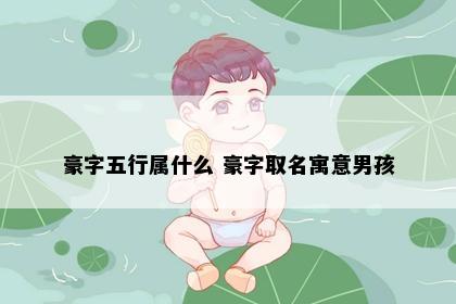 豪字五行属什么 豪字取名寓意男孩