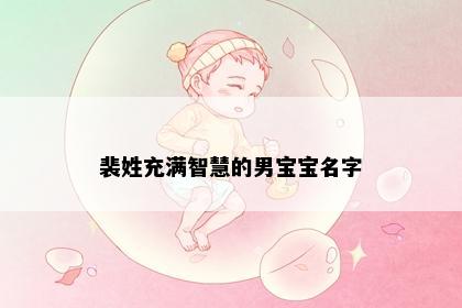 裴姓充满智慧的男宝宝名字