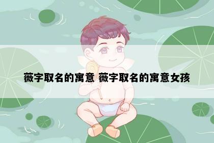 薇字取名的寓意 薇字取名的寓意女孩