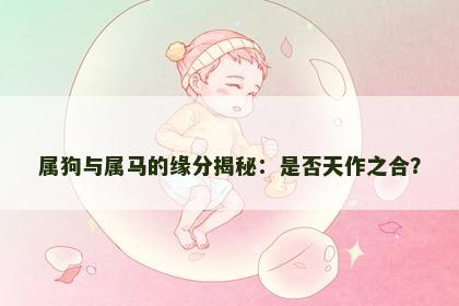 属狗与属马的缘分揭秘：是否天作之合？