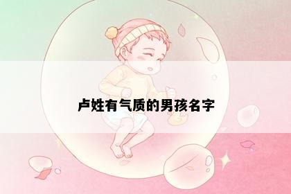 卢姓有气质的男孩名字