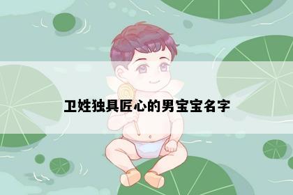 卫姓独具匠心的男宝宝名字