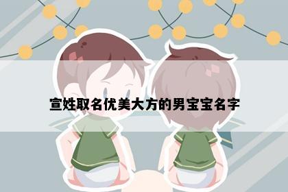 宣姓取名优美大方的男宝宝名字