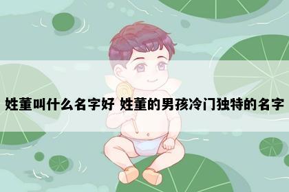 姓董叫什么名字好 姓董的男孩冷门独特的名字