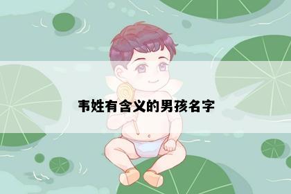 韦姓有含义的男孩名字